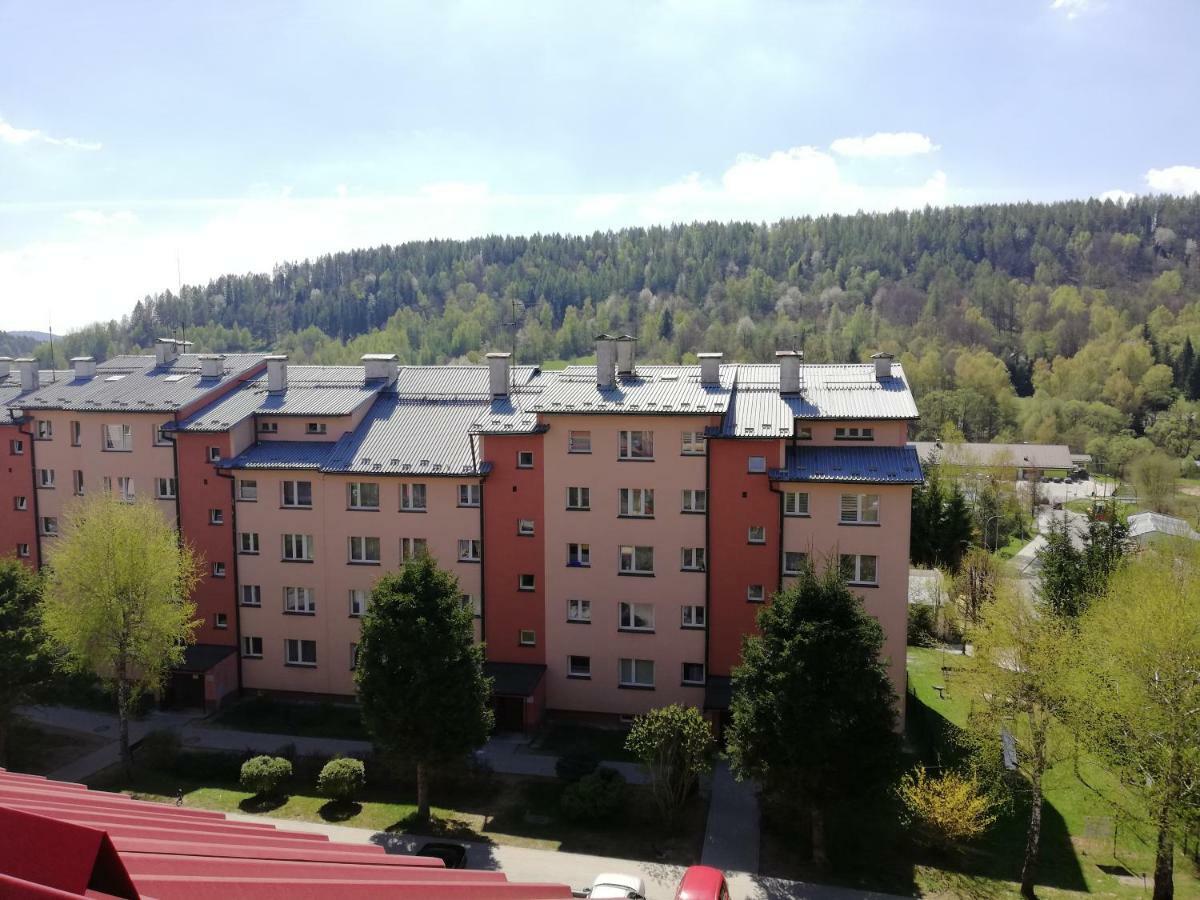 Apartamenty Bieszczadzki Aniol Ustrzyki Dolne Eksteriør bilde